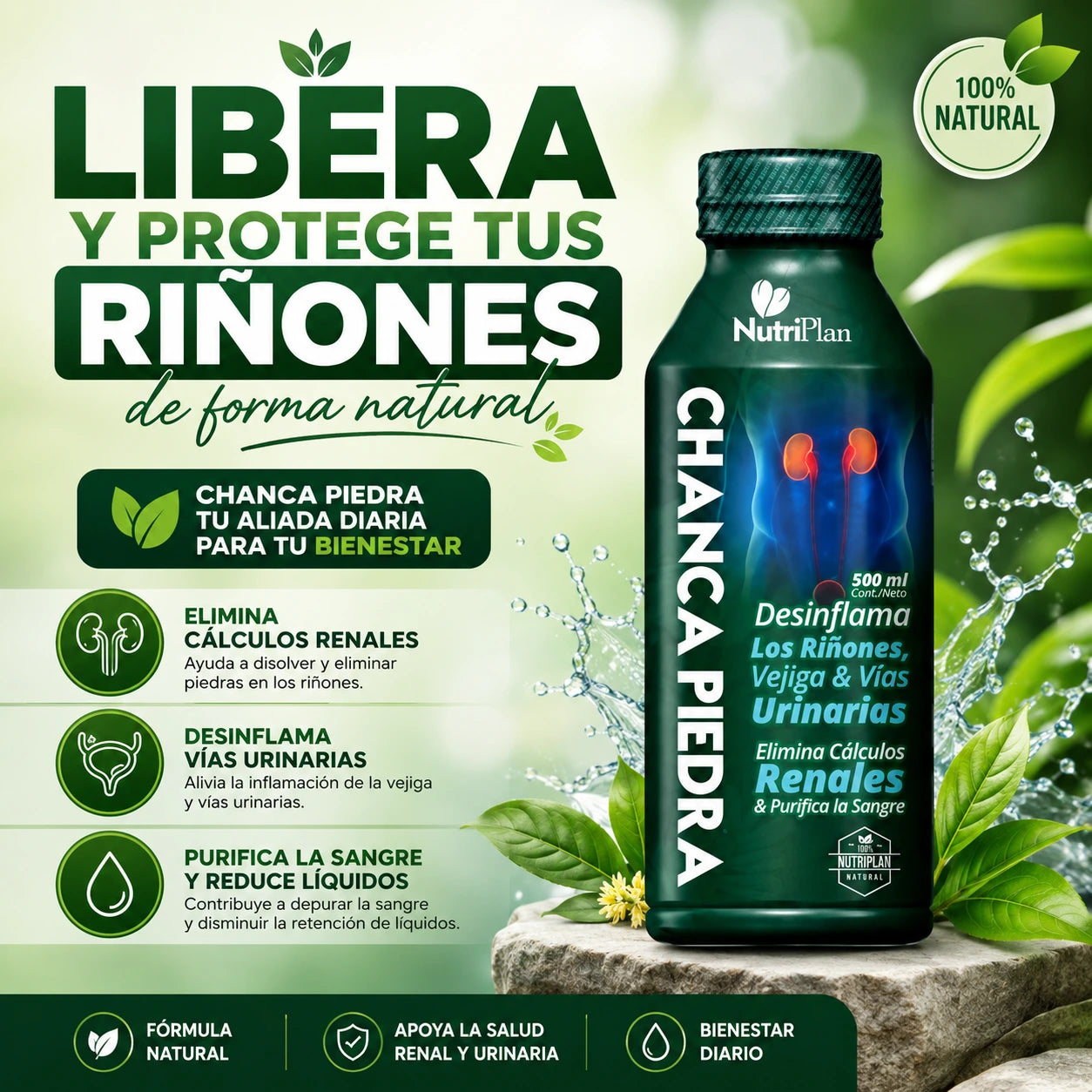 Chanca Piedra 500 ml | Libera y Protege tus Riñones.