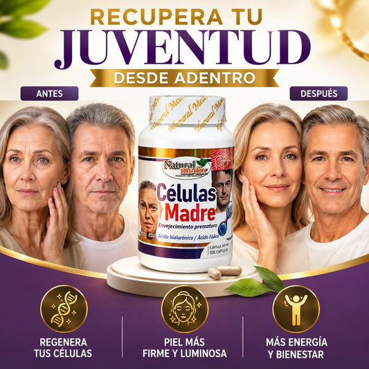 Células Madre | Renueva tu Cuerpo y Frena el paso de los Años