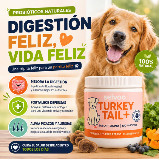 Probióticos Turkey Tail para Perros