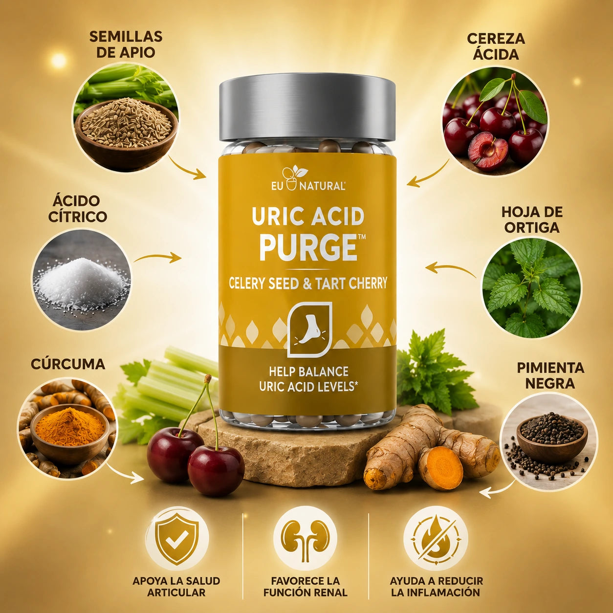 Ingredientes Purga de &Aacute;cido &Uacute;rico